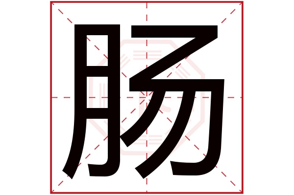 肠字的繁体字:腸(若无繁体,则显示本字)肠字的拼音:cháng肠字的部首