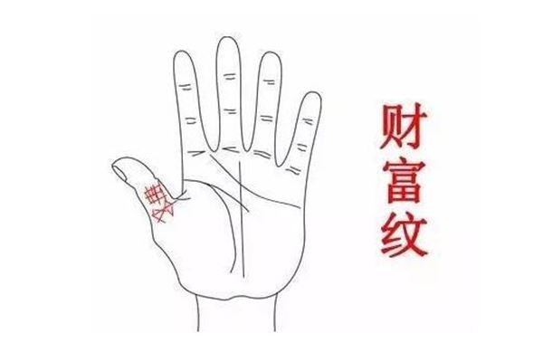 >> 十大富贵手相有哪些 >> 内容  祖庇纹,一看名字,大家就知道"祖庇纹