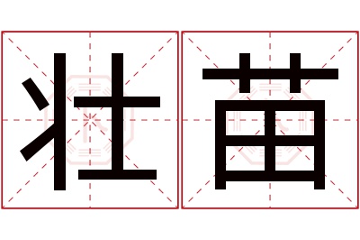 壮苗名字寓意