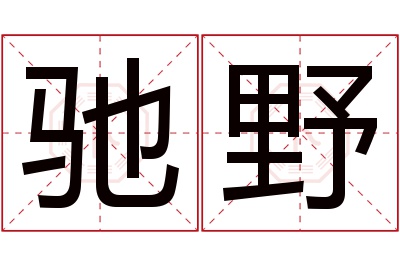 驰野名字寓意 驰野名字寓意