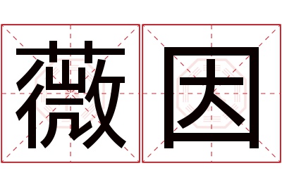 薇因名字寓意