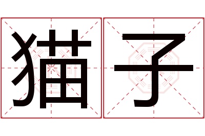 猫子名字寓意