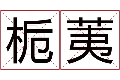 栀荑名字寓意