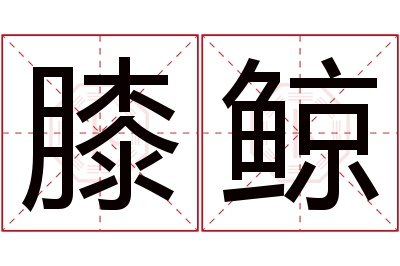 膝鲸名字寓意