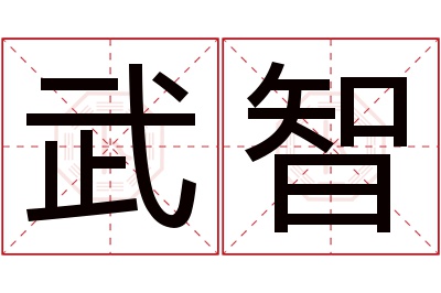 武智名字寓意