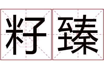 籽臻名字寓意