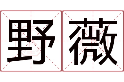 野薇名字寓意