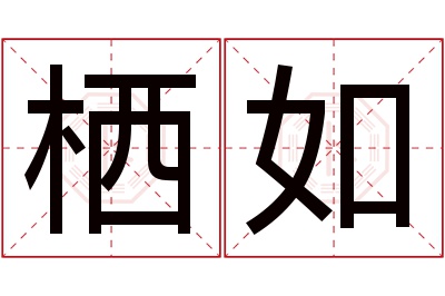 栖如名字寓意