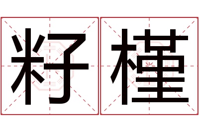 籽槿名字寓意