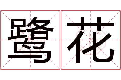 鹭花名字寓意