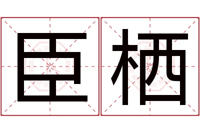 臣栖名字寓意