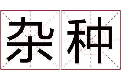 杂种名字寓意