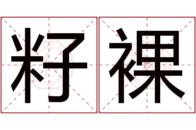 籽裸名字寓意