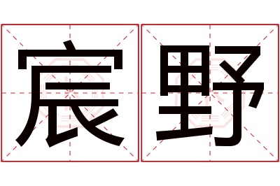 宸野名字寓意