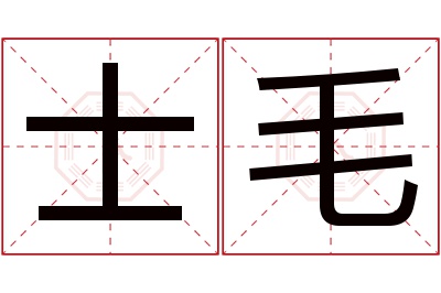 士毛名字寓意