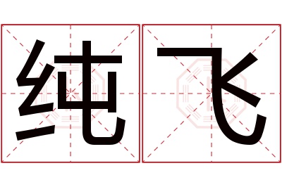 纯飞名字寓意