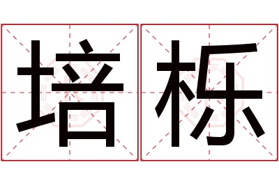 培栎名字寓意