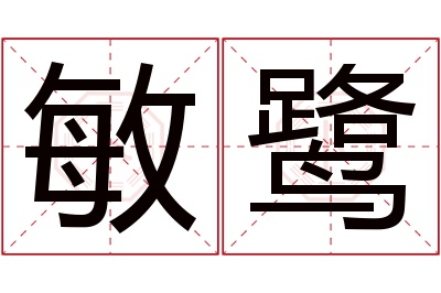 敏鹭名字寓意