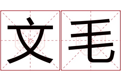 文毛名字寓意