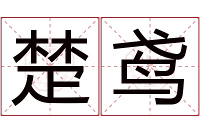 楚鸢名字寓意