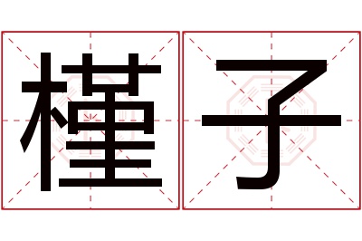 槿子名字寓意