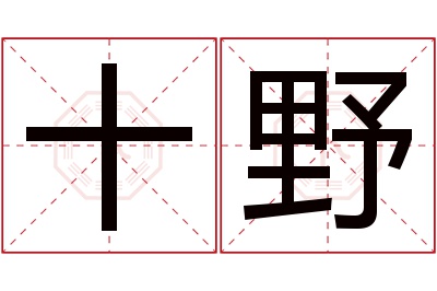 十野名字寓意