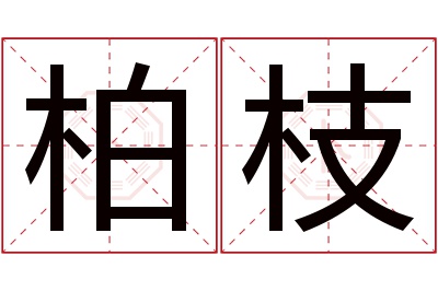 柏枝名字寓意