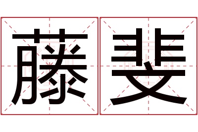 藤斐名字寓意