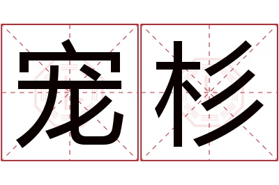 宠杉名字寓意