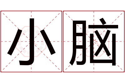 小脑名字寓意