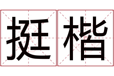 挺楷名字寓意