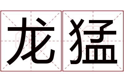 龙猛名字寓意