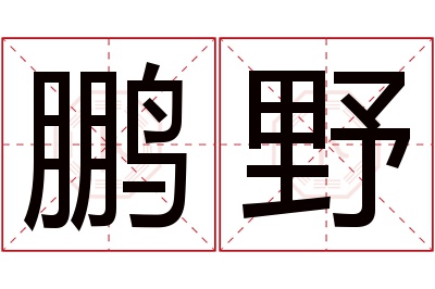 鹏野名字寓意