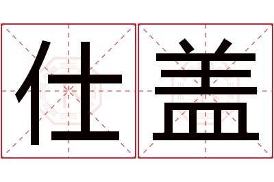 仕盖名字寓意 仕盖名字寓意
