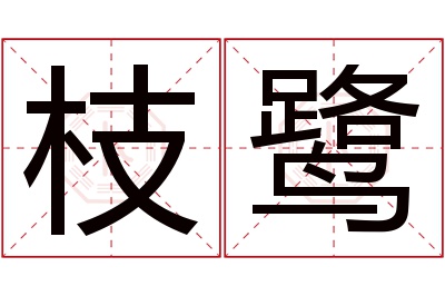 枝鹭名字寓意