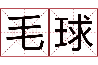 毛球名字寓意