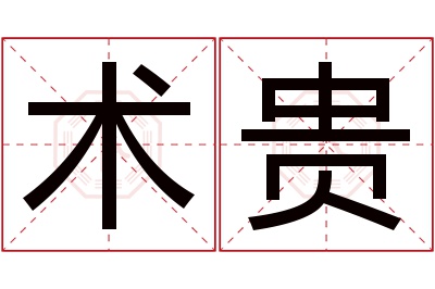 术贵名字寓意