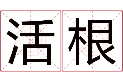 活根名字寓意