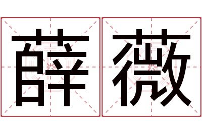 薛薇名字寓意