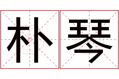 朴琴名字寓意