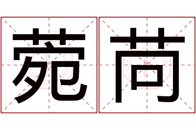 菀苘名字寓意