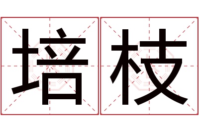 培枝名字寓意