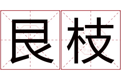 艮枝名字寓意