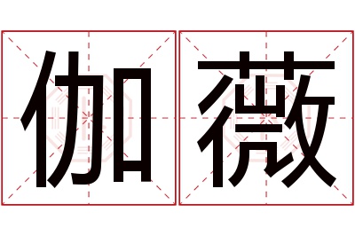 伽薇名字寓意