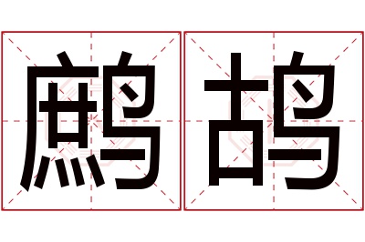 鹧鸪名字寓意