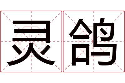 灵鸽名字寓意