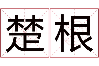 楚根名字寓意