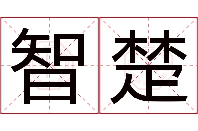 智楚名字寓意