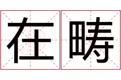 在畴名字寓意