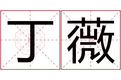 丁薇名字寓意